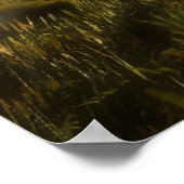 Goldener Sonnenuntergang Poster (Ecke)