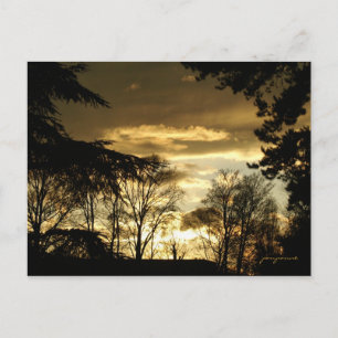 goldener Sonnenuntergang Postkarte