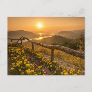 Goldener Sonnenuntergang über blühenden Hügeln Postkarte