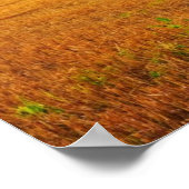 Goldener Sonnenuntergang über dem Feld Poster (Ecke)