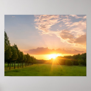 Goldener Sonnenuntergang über grünem Feld mit Baum Poster