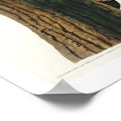 Goldener Specker von Audubon Poster (Ecke)