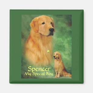 Goldener Spencer-Magnet Magnet