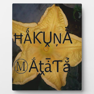 Goldener Stern Hakuna Matata Kunst Druck Fotoplatte