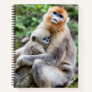 Goldener Stumpfnasen-Affe mit Baby Notizblock