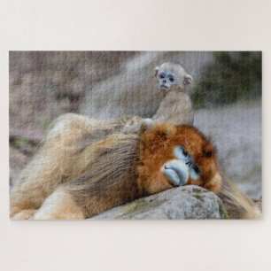 Goldener Stumpfnasen-Affe Vater mit Baby Puzzle