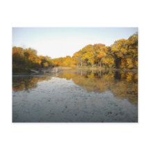 Goldener Teich Peoria Parco Civico-Ciani