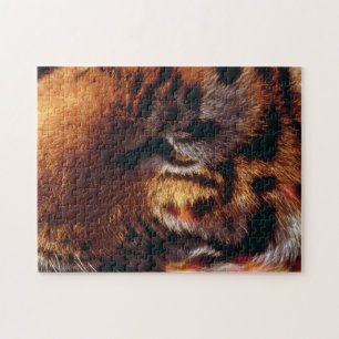 Goldener Tigerauge Nahaufnahme Wildlife Puzzle