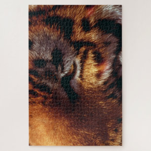 Goldener Tigerauge Nahaufnahme Wildlife Puzzle