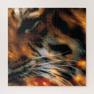 Goldener Tigerauge Nahaufnahme Wildlife Puzzle