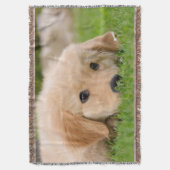 Goldener träumender Retriever-niedlicher Decke (Vorderseite Vertikal)