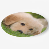 Goldener träumender Retriever-niedlicher Welpe, Pappteller (Schrägansicht)