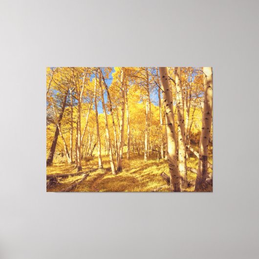 Goldener Wald Leinwanddruck (Vorderseite)