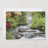 Goldener Wasserfall (Vorderseite)