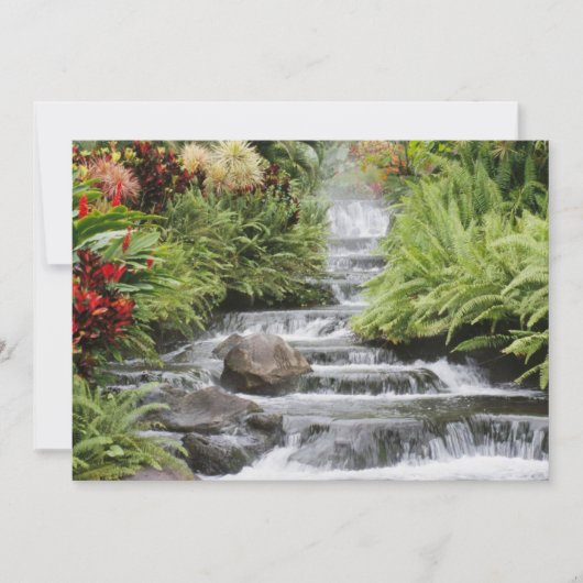 Goldener Wasserfall (Vorderseite)