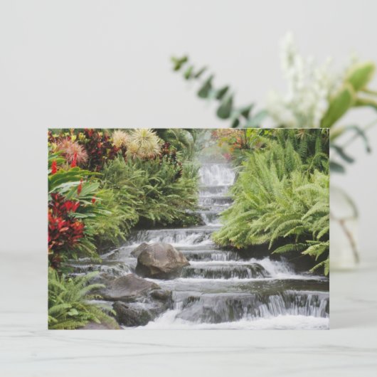 Goldener Wasserfall (Stehend Vorderseite)