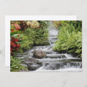 Goldener Wasserfall (Vorne/Hinten)