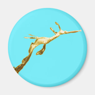 Goldener Weedy Seedrache Magnet