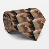 Goldener Welpe Krawatte (Gerollt)