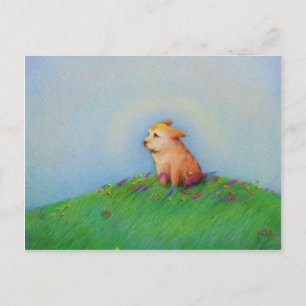 Goldener Welpenhund schöner Frühlingstag Kunst - H Postkarte