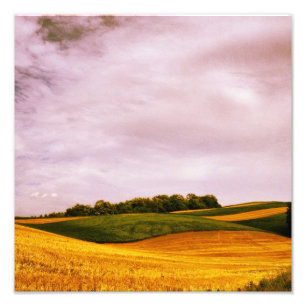 Goldenes Ackerland Fotodruck