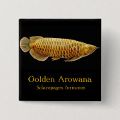 Goldenes Arowana Fisch-Button Button (Vorderseite)