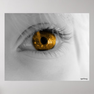 goldenes Auge Poster