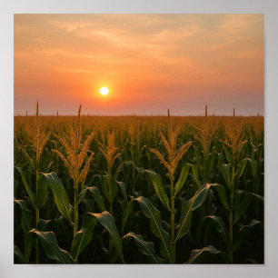 Goldenes Cornfield Sonnenuntergang Hintergrund Poster