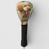 Goldenes Doodle Golf Headcover (Vorderseite)