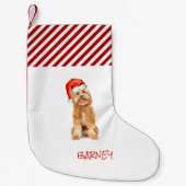 Goldenes Doodle mit Weihnachtsmannmütze Weihnachte Kleiner Weihnachtsstrumpf (Vorderseite)
