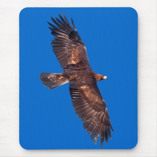 Goldenes Eagle im Flug Mousemat (blau) Mousepad (Vorne)
