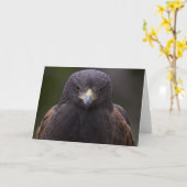 Goldenes Eagle Karte (Gelbe Blume)