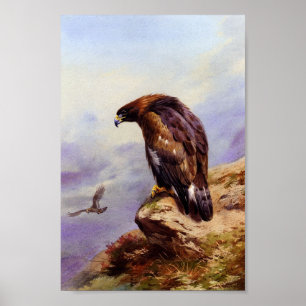 Goldenes Eagle Poster