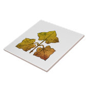 Goldenes Eichenlaub Fliese (Seite)