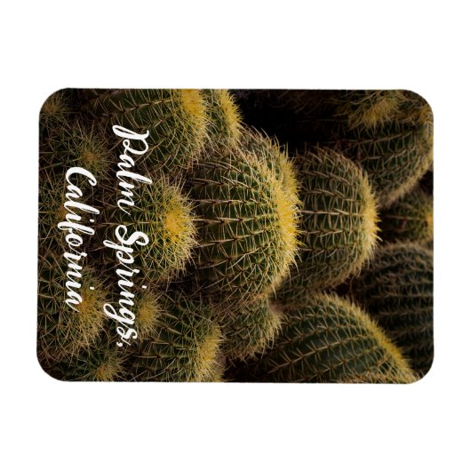 Goldenes Fass in Palmfedern Magnet (Horizontal)