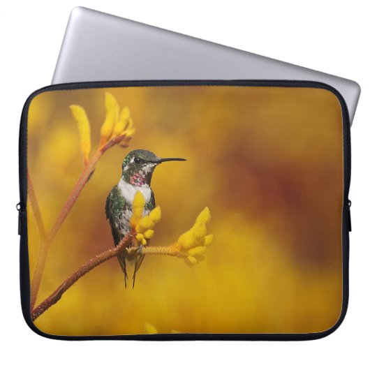 Goldenes Glühen Laptopschutzhülle (Vorderseite)