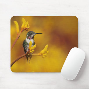 Goldenes Glühen Mousepad