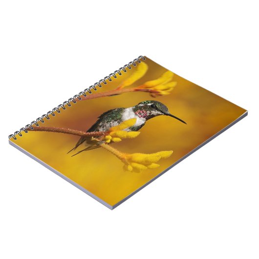 Goldenes Glühen Notizblock (Linke Seite)