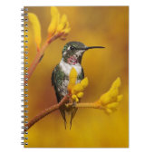 Goldenes Glühen Notizblock (Vorderseite)