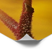 Goldenes Glühen Poster (Ecke)