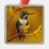 Goldenes Glühen Silbernes Ornament (Vorne)