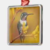 Goldenes Glühen Silbernes Ornament (Links)