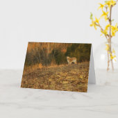 Goldenes helles Beileid Karte (Gelbe Blume)