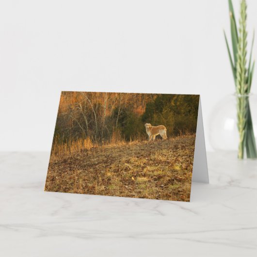 Goldenes helles Beileid Karte (Vorderseite)