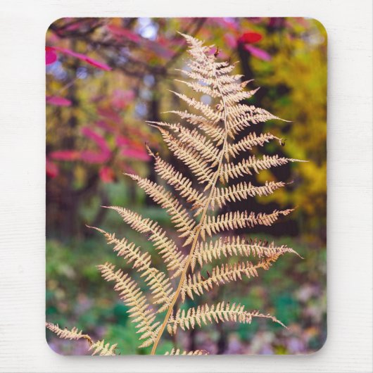 Goldenes Herbstfarnblatt-Exemplar Mousepad (Vorne)