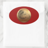 Goldenes Jahr - Chinesische Astrologie Ovaler Aufkleber (Tasche)
