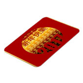 Goldenes Jahr des Stadions 2017 - H Magnet 1 (Linke Seite)