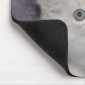 Goldenes Kätzchen Mousepad (Ecke)