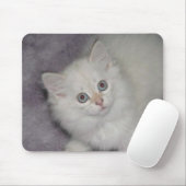 Goldenes Kätzchen Mousepad (Mit Mouse)