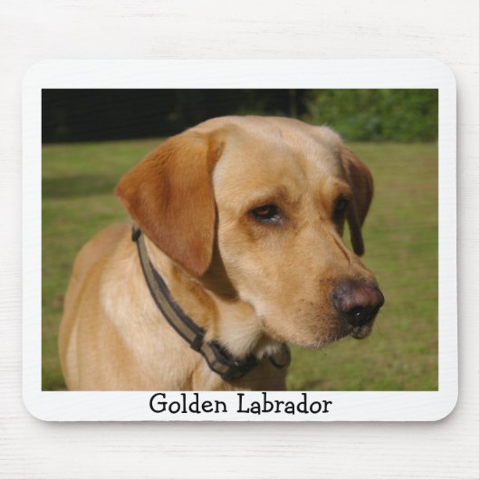 Goldenes Labrador Mousepad (Vorne)